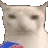 catmunching