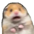scaredHamster