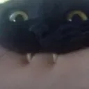 CHOMP
