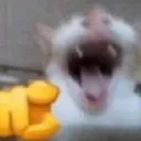 catl