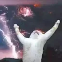 BEHOLD BEHOLD