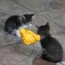 ok