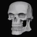 skullgrin