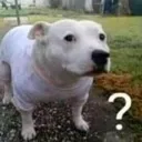 huh