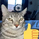 ponder_approve ponder_approve