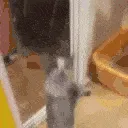 yippee yippee