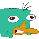 perrygrrrrr perrygrrrrr