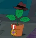 perryundercover
