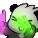 pandarave