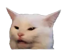 smudgecat smudgecat