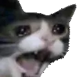 zoomclose