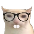 Discord Emote nerdcat: