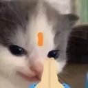 jonny_bhoi