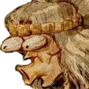 pogrick