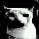 star_scraed custom emote | #- thunder server  15k ?