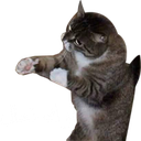 mz_343 Discord Emoji from #- thunder server  15k ?