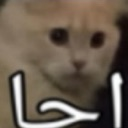 mz_359 custom emote - #- thunder server  15k ?