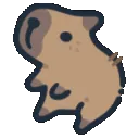 capyBoogie