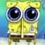 spongesob