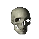 skullspin