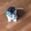 fear