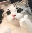 thumbsup