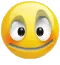fool