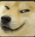 doge_spooky_smirk