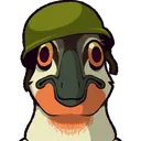 1Austrothousandyardstare