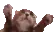 clapi