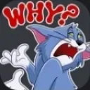 tomwhy