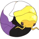 isopod_nb