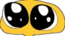 pls