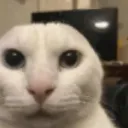 ihavenoearsandimustlisten ihavenoearsandimustlisten