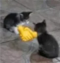 :bros: