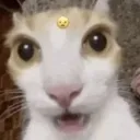 OMG