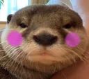 otterflushed