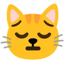 Cat_no_fishing