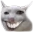gatoepico gatoepico