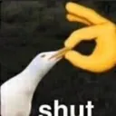 SHUT