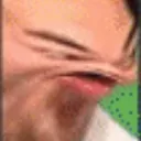 Wutisthisbro