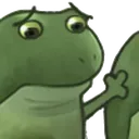 worryfrogpat