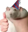 ratthumbsup