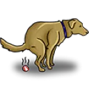 DogShitter