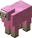 Pink_Sheep Pink_Sheep