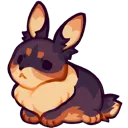 7r_bunbun