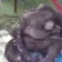 monkedies
