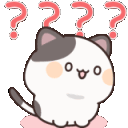 confused_meow