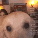 kwoliSNIFFA