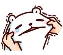bacgrab